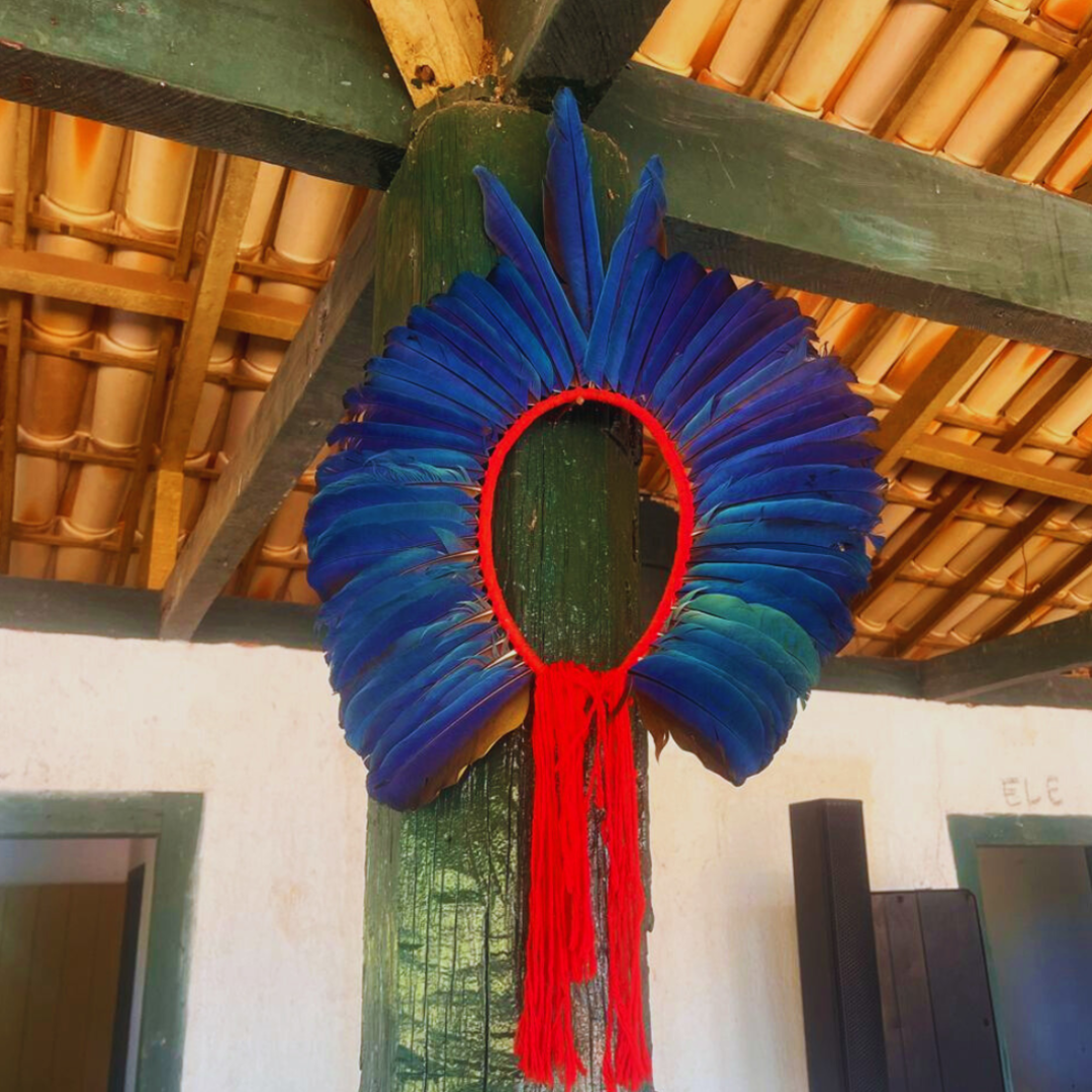 Pataxó Naô Xohã (1)